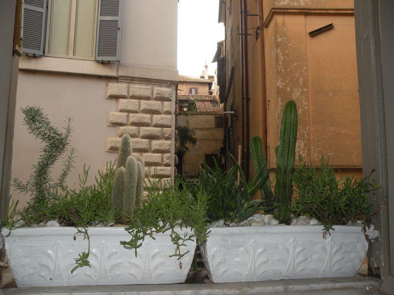 Navona Lovely Penthouse Rome Ruang foto